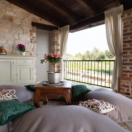 Vila Rustic Amyra With Pool And Grill In Porec *