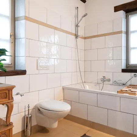 Rustic Amyra With Pool And Grill In Porec