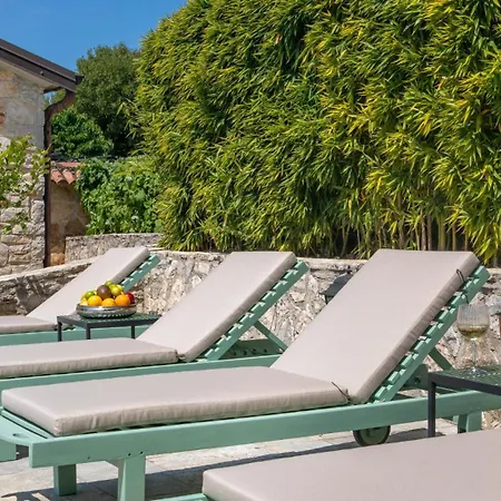 Rustic Amyra With Pool And Grill In Porec Vila Sveti Lovreč Pazenatički